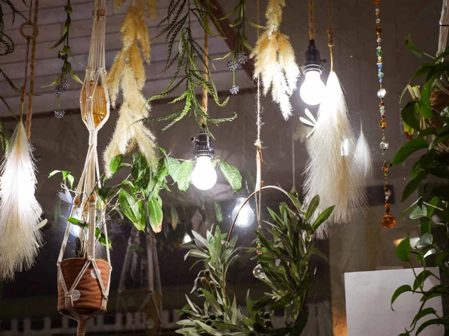 Plants and soft lights inside the salon